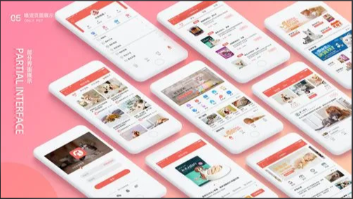 宠物APP