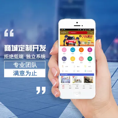 手机软件开发