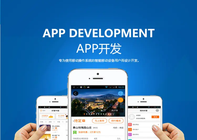 APP开发公司