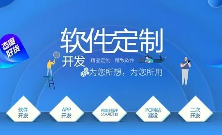 软件开发