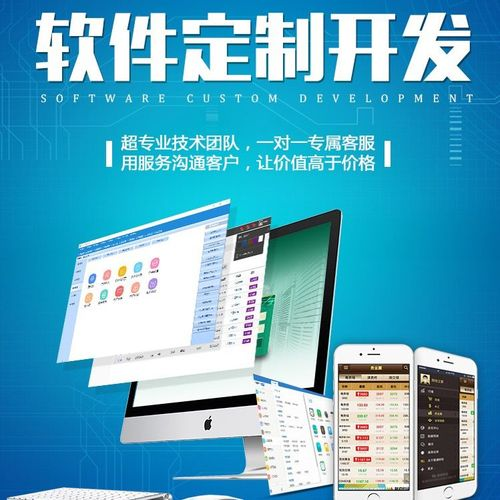 ERP定制开发